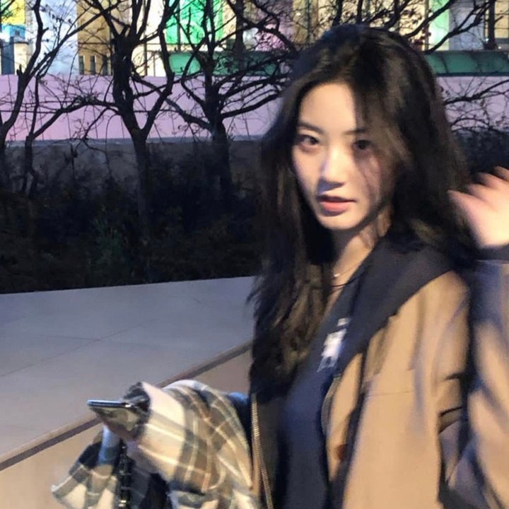 撤离加沙地带封面