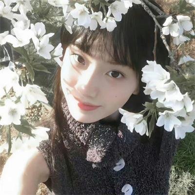 幻海奇情第二季封面